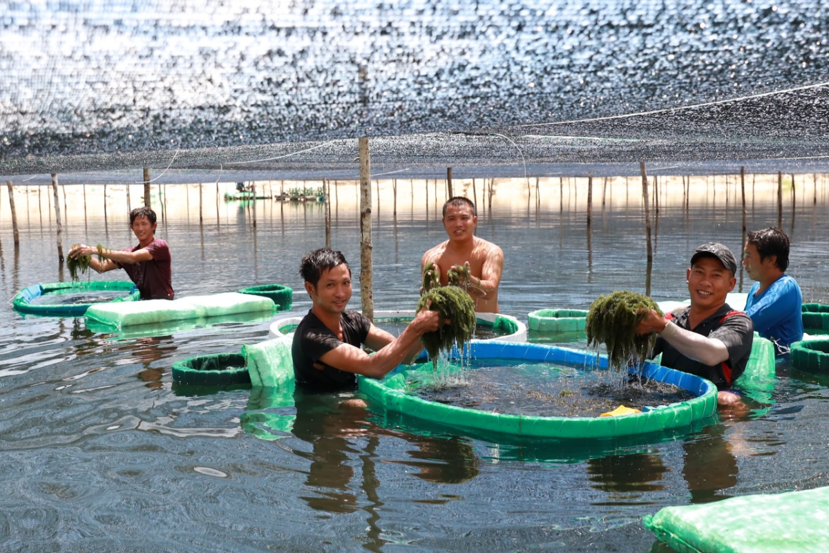 Sản phẩm OCOP sẽ trở thành “đại sứ du lịch” trong kỷ nguyên chuyển đổi số.