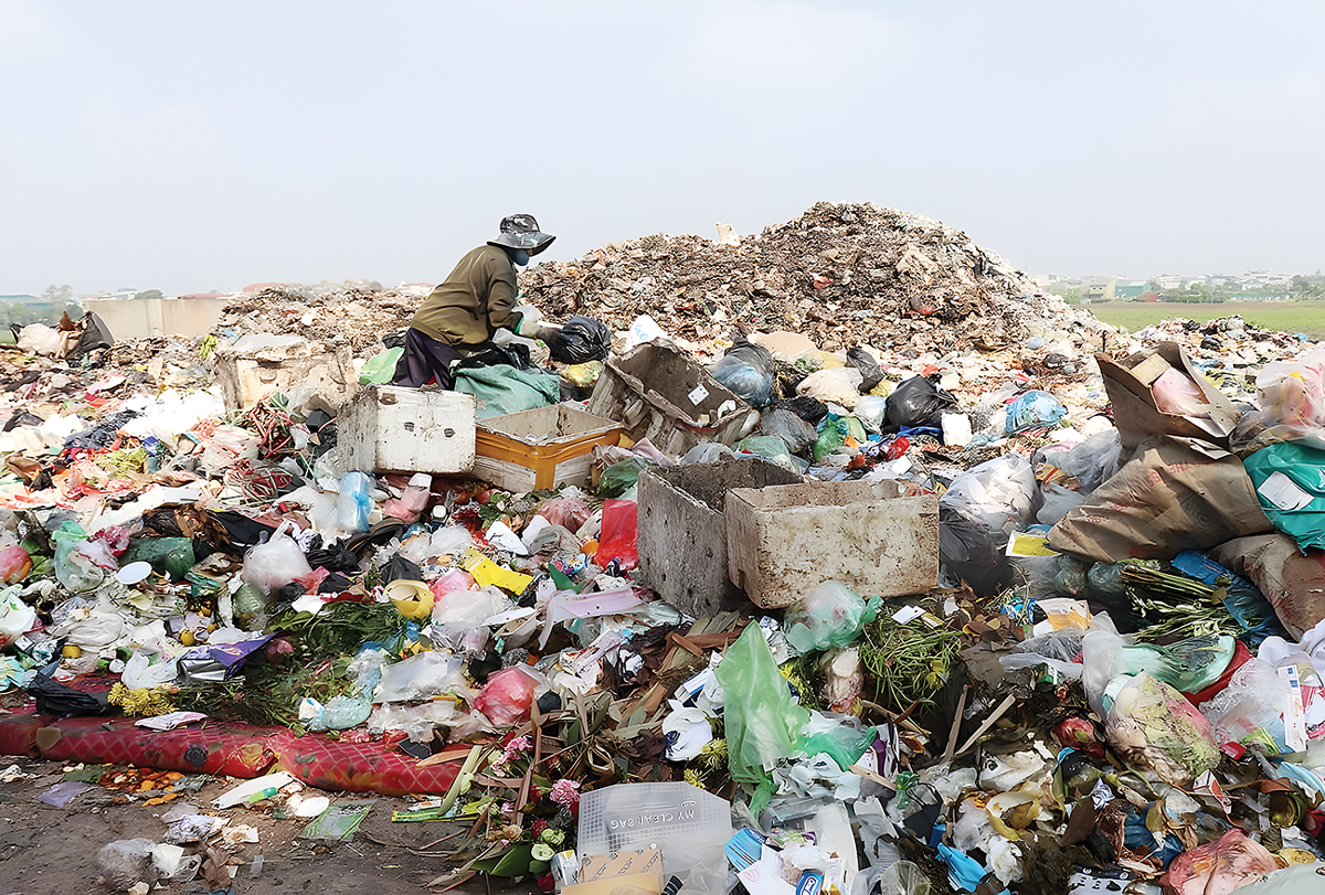 Ô nhiễm nhựa được WEF xếp vào top 10 rủi ro toàn cầu nghiêm trọng nhất, gây ảnh hưởng nặng nề đến các hệ sinh thái trên cạn và dưới biển. Ảnh minh họa