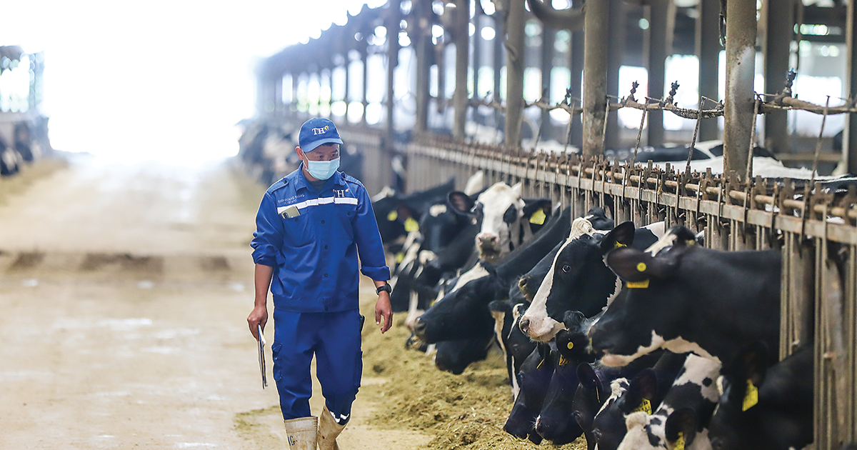 Hành trình xanh từ đồng cỏ đến trung hòa carbon