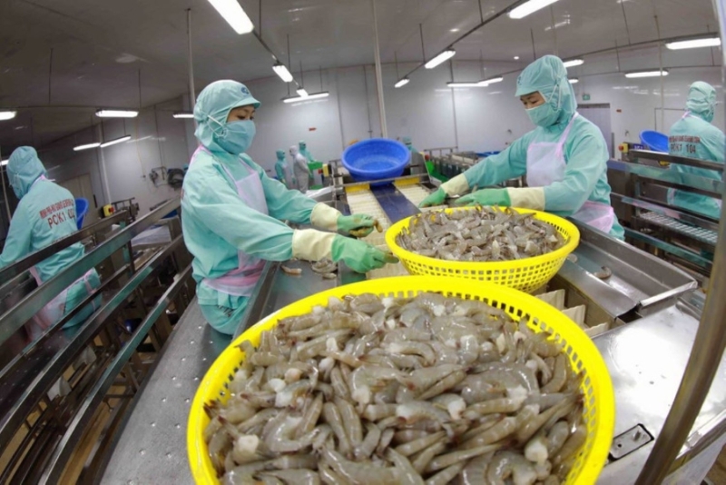 Vietnam’s shrimp exports hit three-year high
