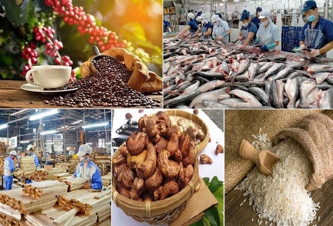 Bổ sung cơ chế khấu trừ đầu vào, miễn kê khai nộp thuế cho doanh nghiệp mua bán nông sản