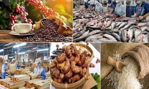 Bổ sung cơ chế khấu trừ đầu vào, miễn kê khai nộp thuế cho doanh nghiệp mua bán nông sản