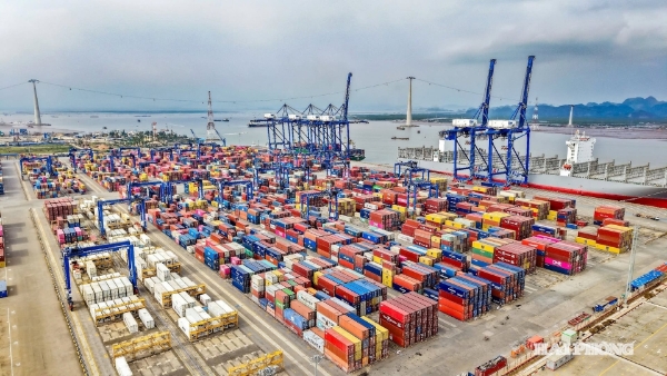 Xếp dỡ container tại Cảng Hải Phòng. Ảnh: Lê Dũng