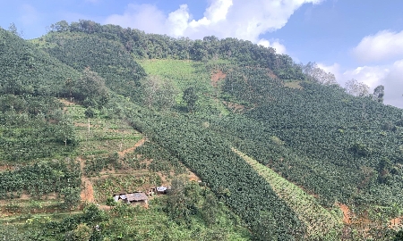 Chuyển đổi nông nghiệp sinh thái ở Việt Nam: Kiến tạo tương lai xanh