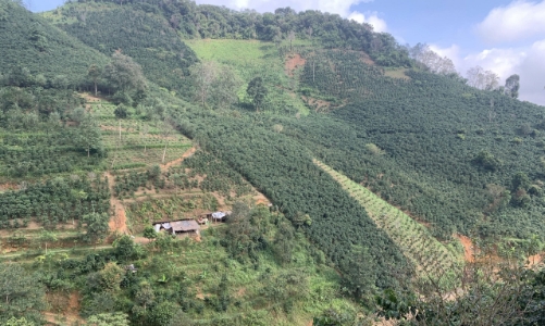 Chuyển đổi nông nghiệp sinh thái ở Việt Nam: Kiến tạo tương lai xanh