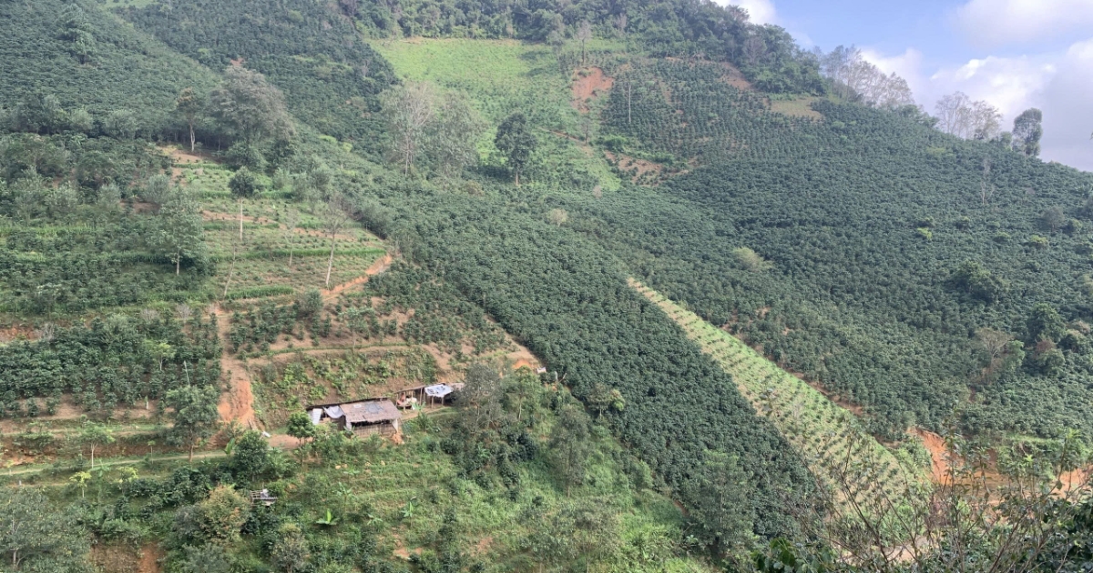 Chuyển đổi nông nghiệp sinh thái ở Việt Nam: Kiến tạo tương lai xanh