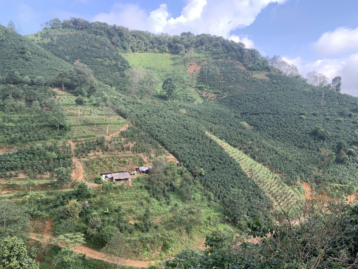 Nông nghiệp sinh thái trên đất dốc ở Tây Bắc Việt Nam.