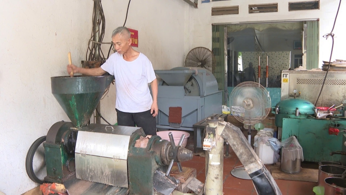 Xu hướng tự ép dầu tại các cơ sở nhỏ lẻ ngày càng lan rộng ở nhiều địa phương.