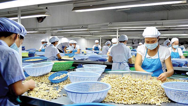 Hạt điều tách vỏ chiếm xấp xỉ 90% thị phần tại Anh.