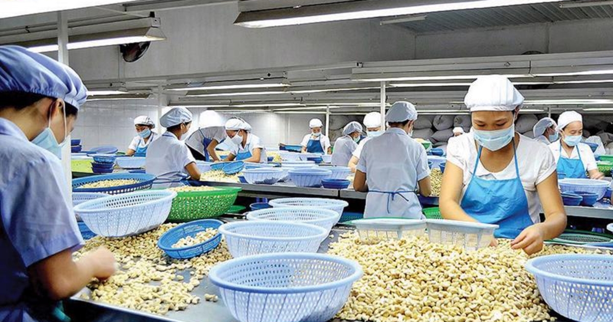 4 năm thực thi UKVFTA: Xuất khẩu Việt Nam bứt tốc, tăng trưởng kép 10%/năm