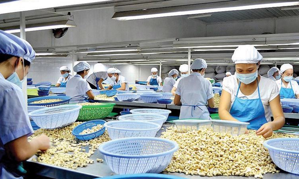 Hạt điều tách vỏ chiếm xấp xỉ 90% thị phần tại Anh.