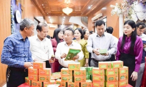 Nghệ An có 268.700 lao động nông thôn tham gia hợp tác xã