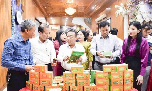 Nghệ An có 268.700 lao động nông thôn tham gia hợp tác xã