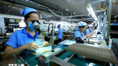 Dong Nai disburses nearly $1.4 bln in FDI in 10M