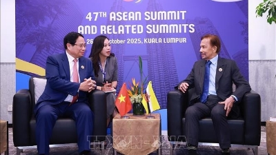 Prime Minister Pham Minh Chinh meets leaders of Brunei Darussalam, Malaysia, and Timor Leste