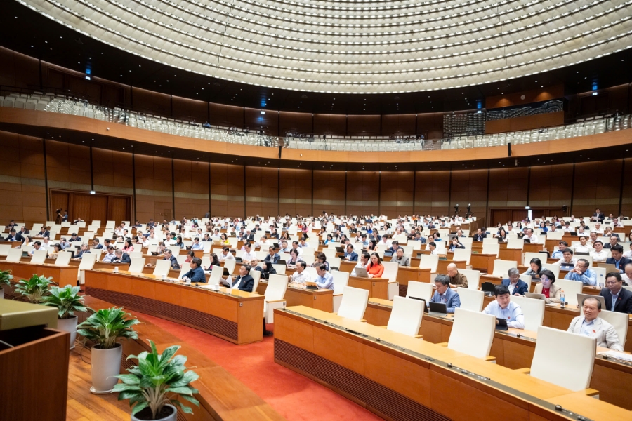 Các đại biểu tham gia phiên họp.