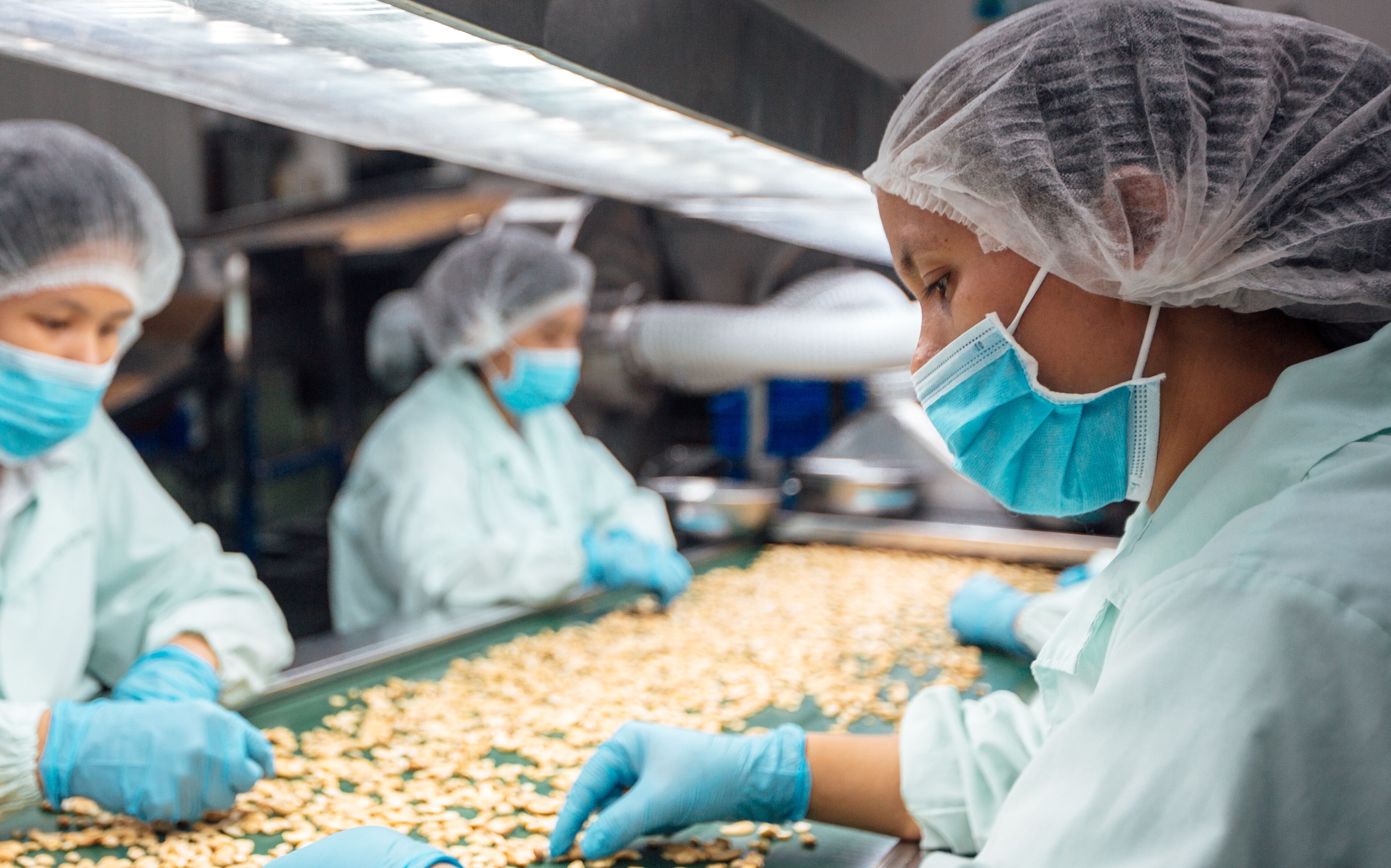Các nữ công nhân tại nhà máy chế biến điều OFI Việt Nam. 
