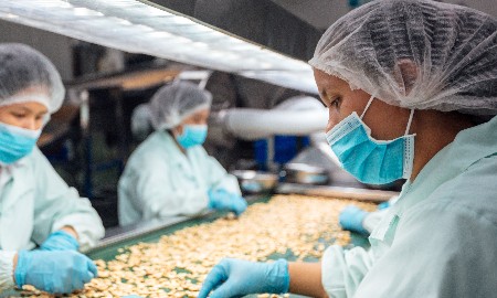 Các nữ công nhân tại nhà máy chế biến điều OFI Việt Nam. 