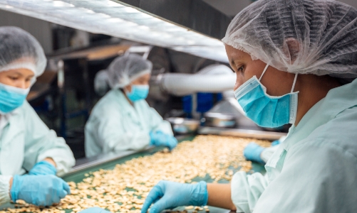 OFI Việt Nam được VINACAS vinh danh nhờ giữ vững vai trò đầu tàu, thúc đẩy ngành điều phát triển bền vững