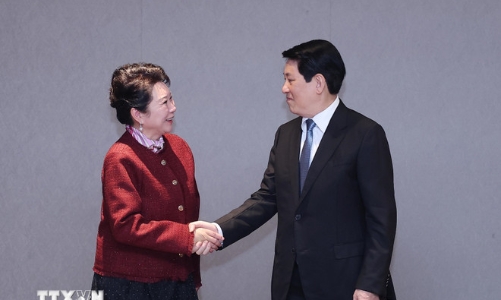 Chủ tịch nước Lương Cường tiếp nhà sáng lập Tập đoàn MEBO International của Trung Quốc 