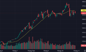 Mất trụ, VN-Index “tuột” cơ hội chinh phục mốc 1700 điểm