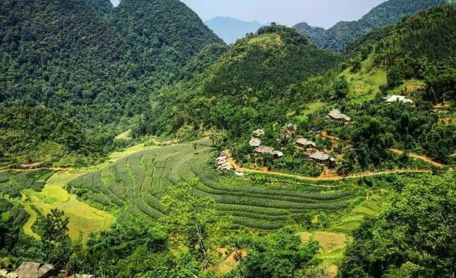 Vẻ đẹp của những thửa ruộng bậc thang ở bản Ngàm.