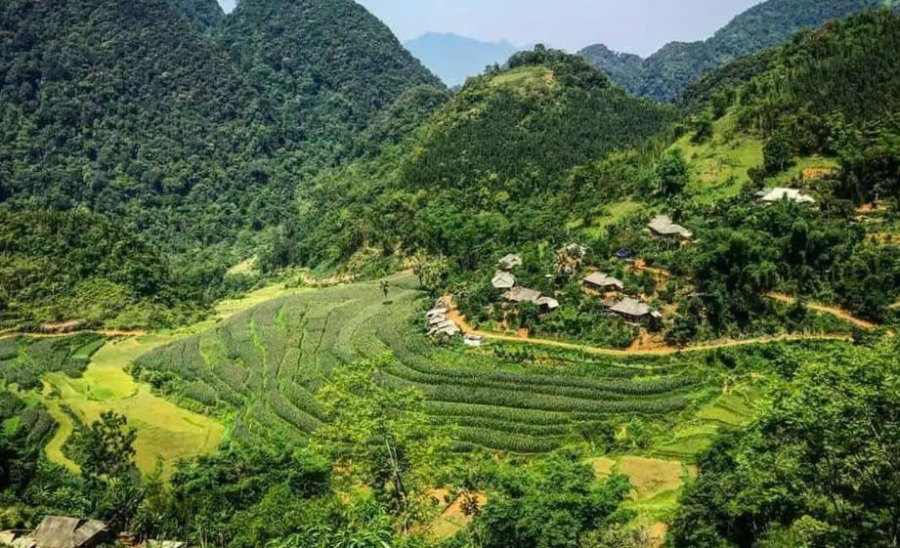 Vẻ đẹp của những thửa ruộng bậc thang ở bản Ngàm.