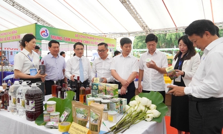 Nông sản Quảng trị vươn xa bằng “chìa khóa” công nghệ và bản sắc văn hóa