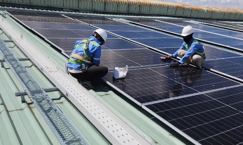 Việt Nam - Đan Mạch thúc đẩy hợp tác trong chuyển đổi xanh