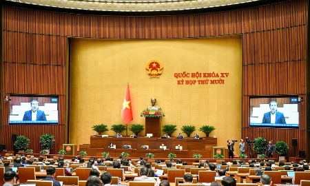 Ngành Nông nghiệp kiên định mục tiêu phát triển xanh