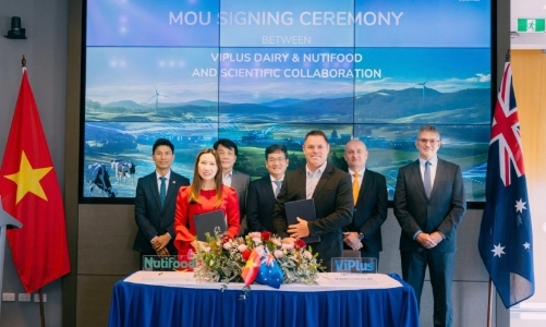 Nutifood bắt tay ViPlus Dairy phát triển thương hiệu quốc tế GippsNature