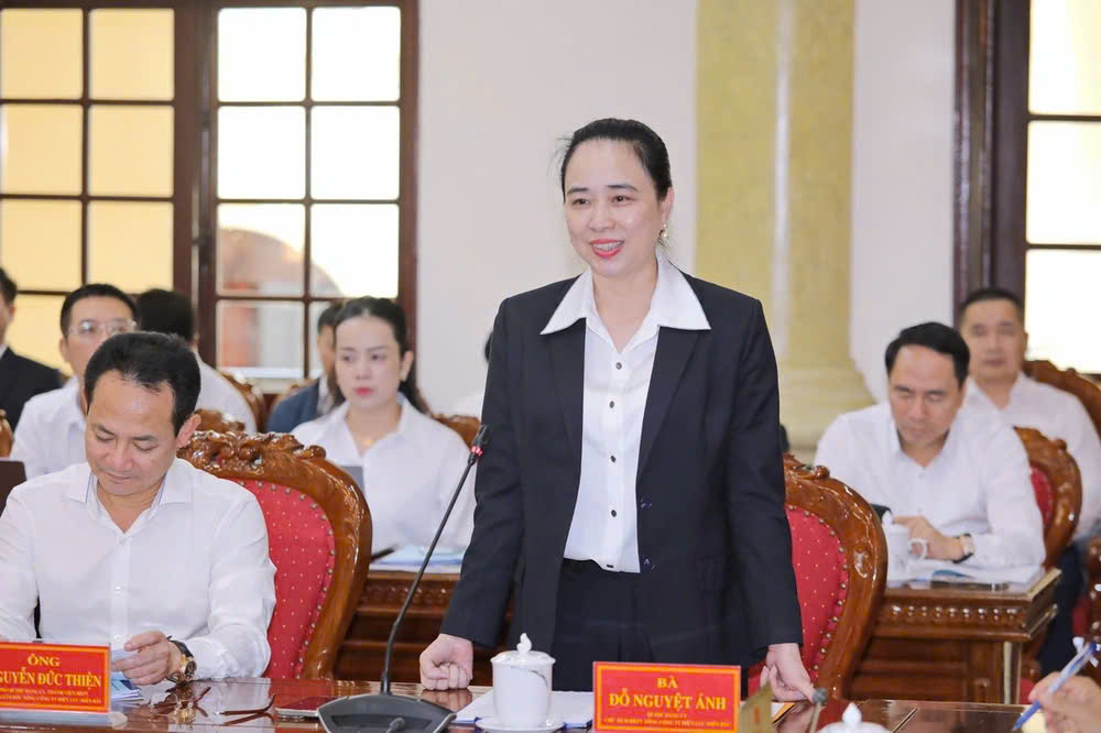 Bà Đỗ Nguyệt Ánh, Chủ tịch Hội đồng thành viên EVNNPC