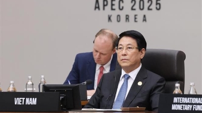 President Luong Cuong attends first plenary session of APEC Economic Leaders’ Meeting