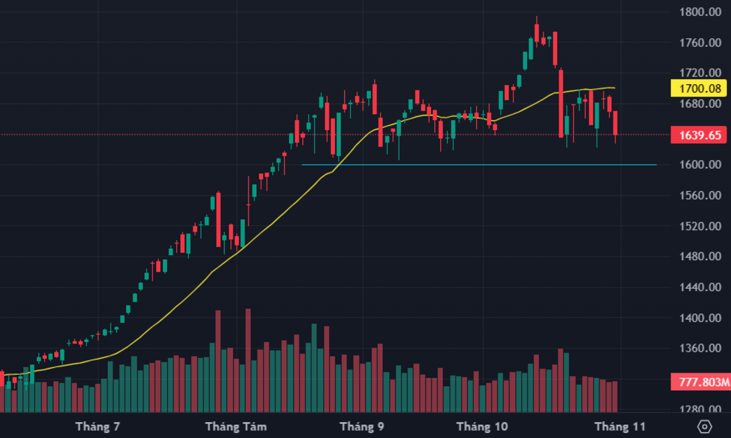 Sức ép bán hạ giá tăng vọt, loạt cổ phiếu giảm sâu, VN-Index hướng về đáy 1600