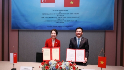 Vietnam, Singapore sign Memorandum of Cooperation on Rice Trade