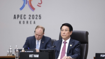 State President Luong Cuong attends second session  of the 32nd APEC Summit