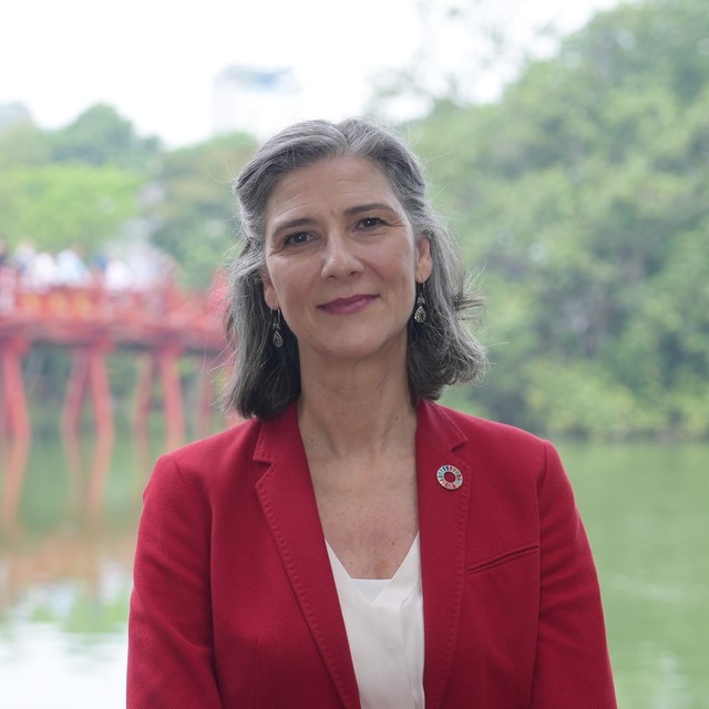 UNDP representative highlights Vietnam’s socio-economic development