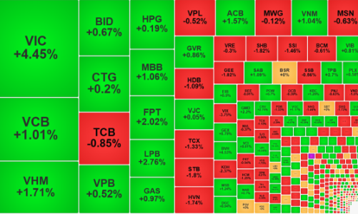 Dòng tiền bắt đáy “vào việc”, cổ phiếu phục hồi diện rộng