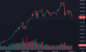 Đè trụ kích hoạt bán tháo, VN-Index rơi sát mốc 1600 điểm