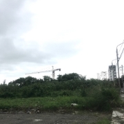 Đà Nẵng cho thuê nhiều khu đất trống chưa sử dụng