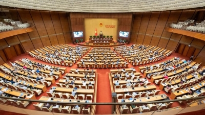 Dự án Luật Quản lý thuế (sửa đổi)