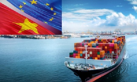 EVFTA sau 5 năm: Lợi thế thuế 0% và nghịch lý thị phần “giậm chân tại chỗ”