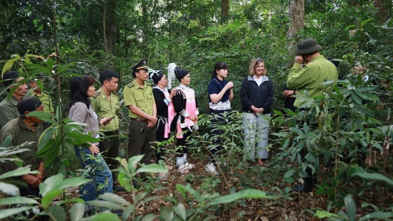 Xây dựng năng lực thực hiện kế hoạch giảm thiểu tác động của biến đổi khí hậu và huy động nguồn tài chính bền vững để bảo vệ và phát triển rừng.