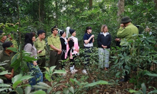 Huy động nguồn tài chính bảo vệ rừng, phát triển thị trường carbon rừng chất lượng cao