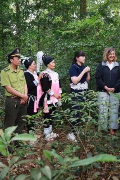 Financial resources to be mobilized  for high-quality forest carbon market