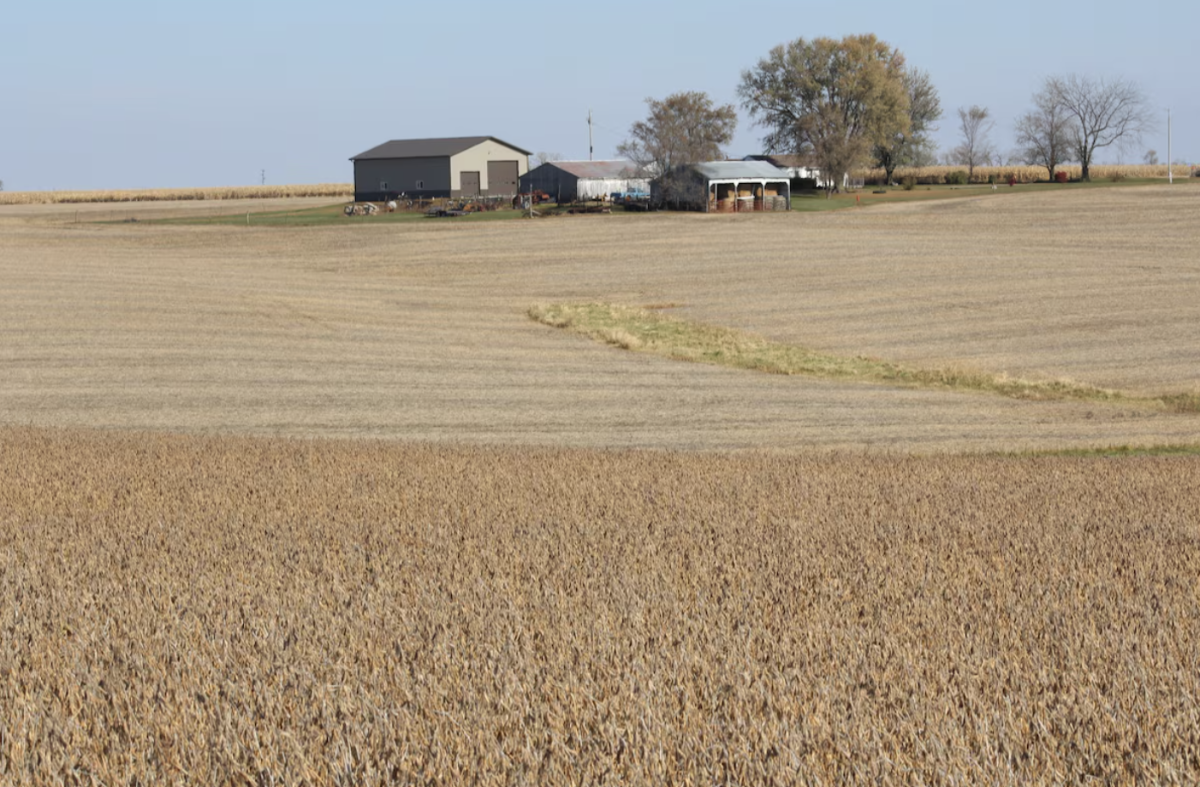 Ảnh minh họa - Ảnh: Reuters.