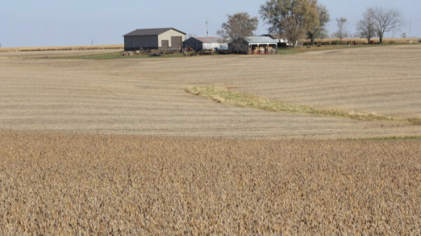 Sau thỏa thuận với Mỹ, Trung Quốc vẫn đẩy mạnh nhập khẩu đậu tương Brazil