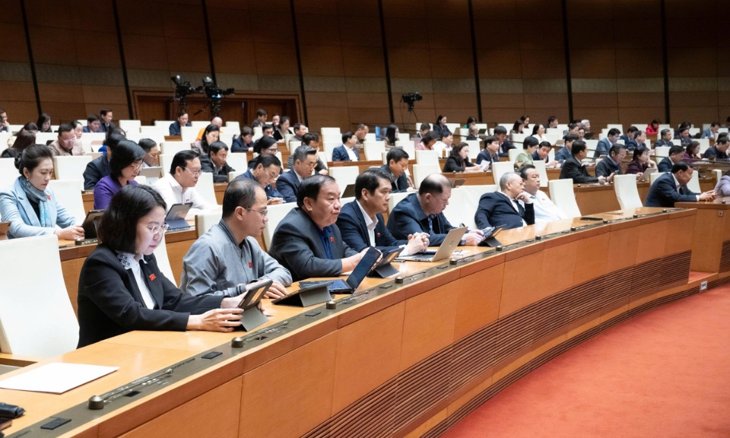 Đại biểu tham gia Phiên họp