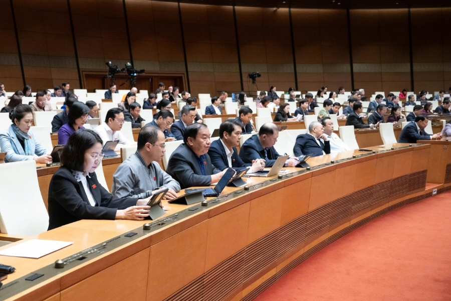 Đại biểu tham gia Phiên họp