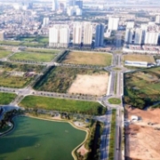 Đề xuất tăng mạnh chế tài với hành vi thao túng, bỏ cọc trong đấu giá đất